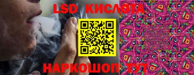 mdpv Славгород
