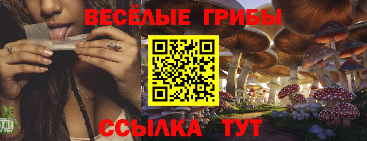 Псилоцибиновые грибы прущие грибы Воркута